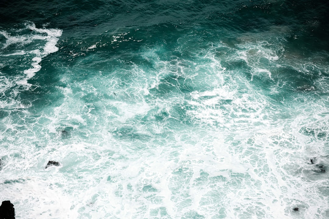 KCB (Korea Central Bank)