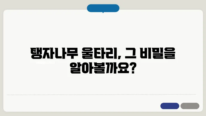 탱자나무 울타리