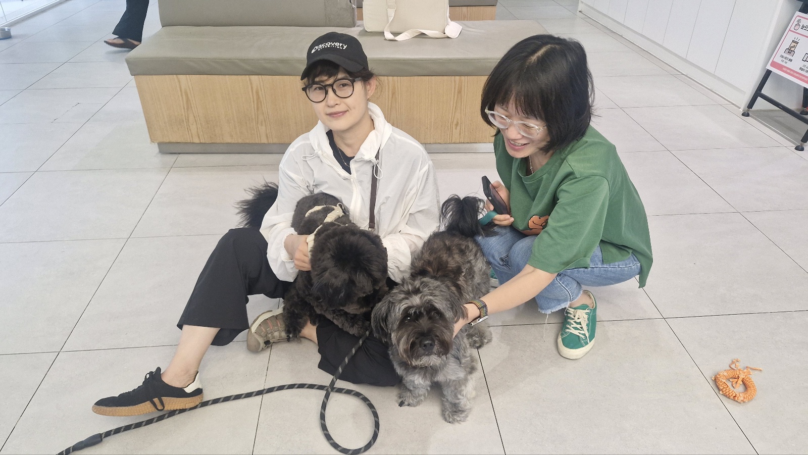 강아지 관절을 망치는 5가지 행동 정리