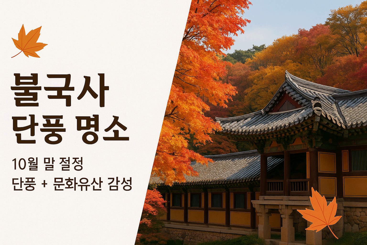 단풍 구경가볼만한곳