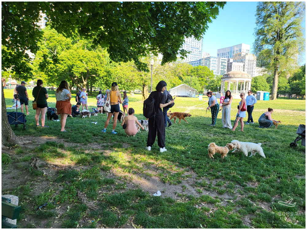 Boston Freedom Trail