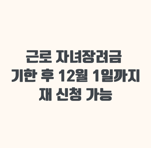 근로 자녀장려금 기한 후 12월1일까지 재 신청가능