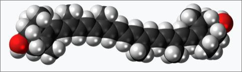 지아잔틴 분자모형