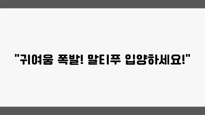인천말티푸분양 알아봅니다