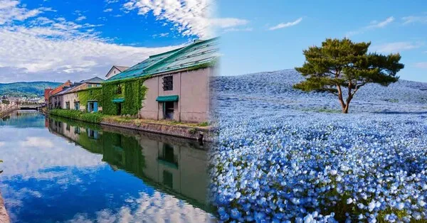 홋카이도 여름 여행코스 4박5일 일정과 맛집 정보 정리_1