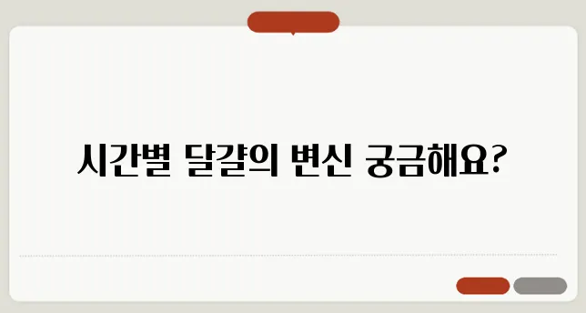 달걀 삶는 방법과 시간별 특징