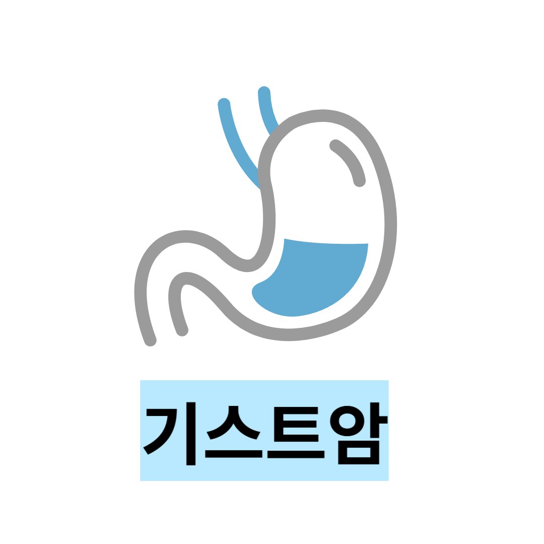 기스트암과 관련된 사진입니다.