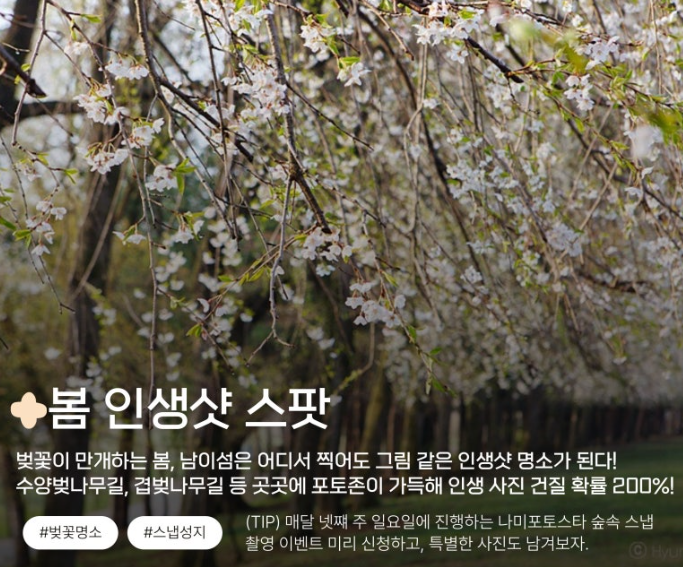 추천 코스2