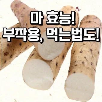 마 효능 보관법 먹는법 마즙 만들기까지 종합 가이드_9