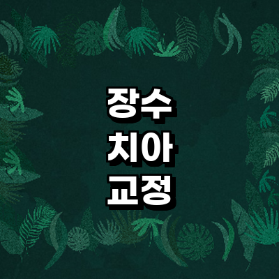 장수군 교정 치과