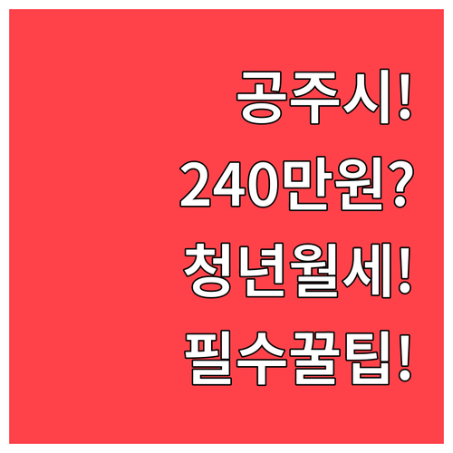 공주시 청년월세 지원금 최대 240만..