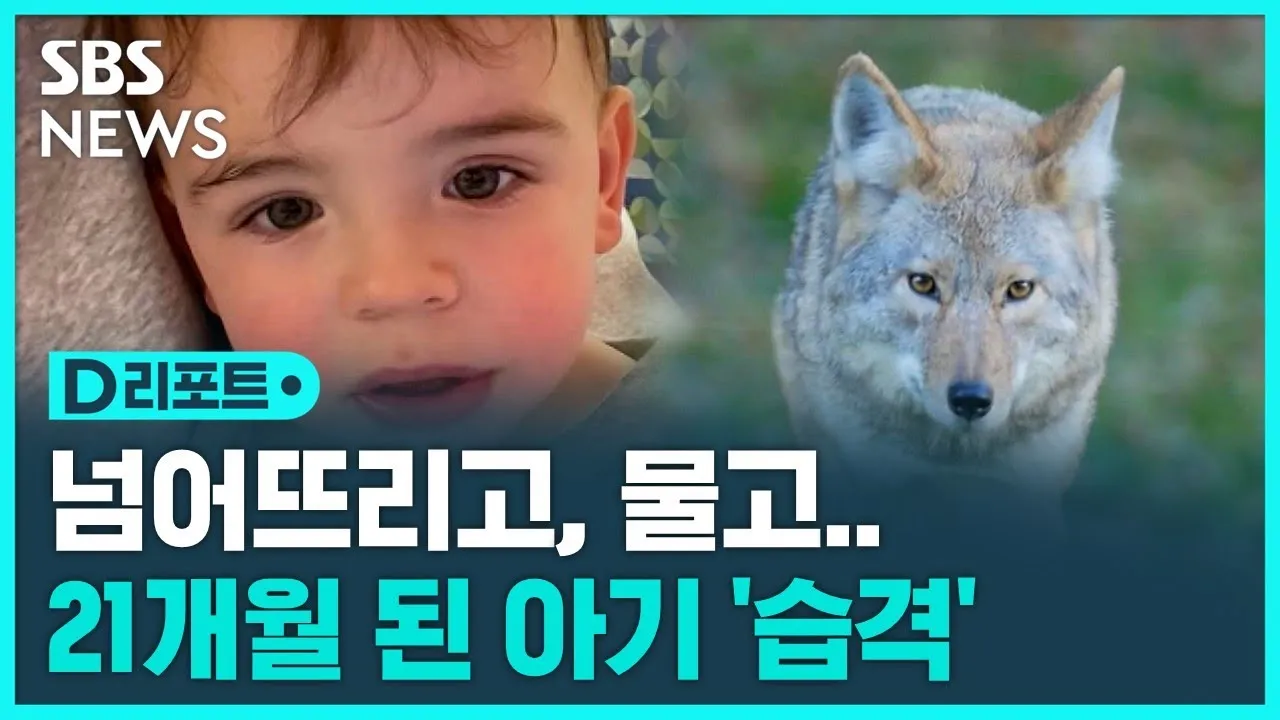 코요태 댄스곡 노래 모음 26곡 연속 감상 정리_3