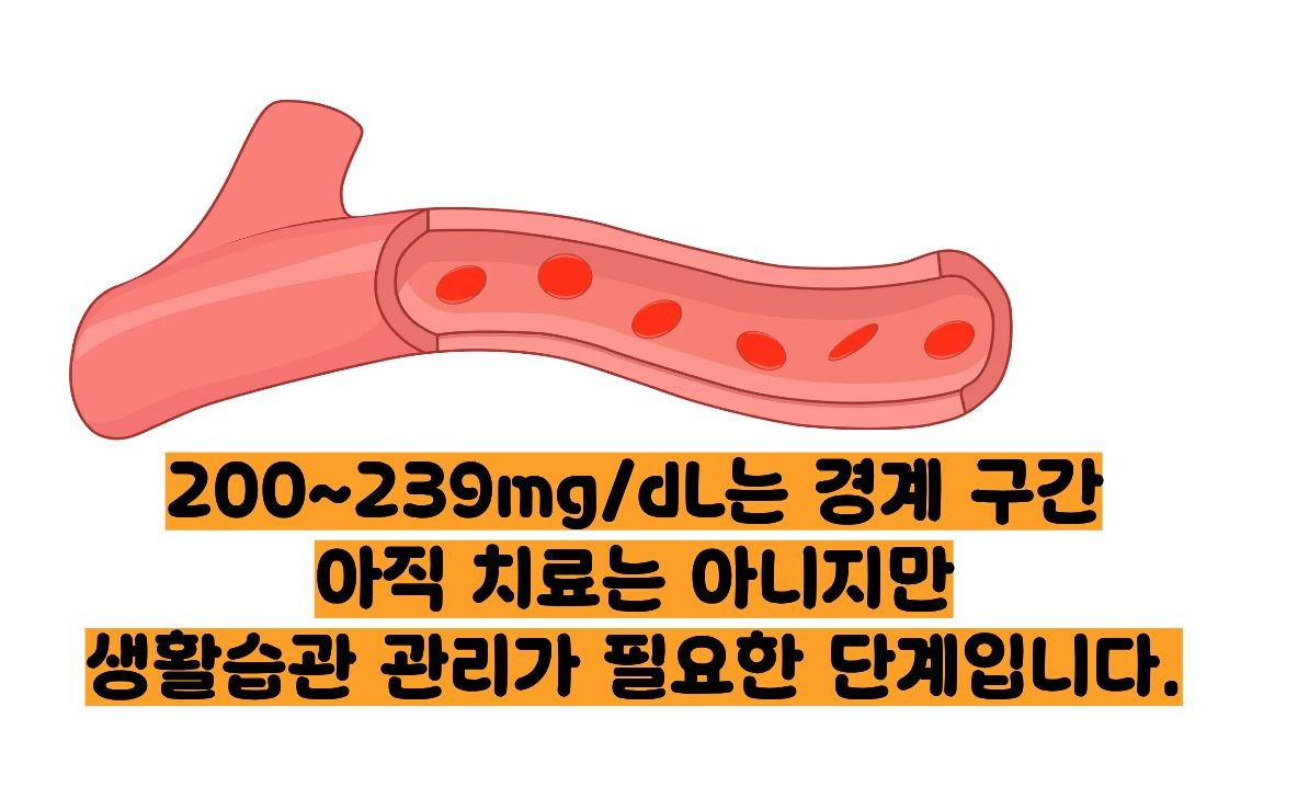 총콜레스테롤 정상수치