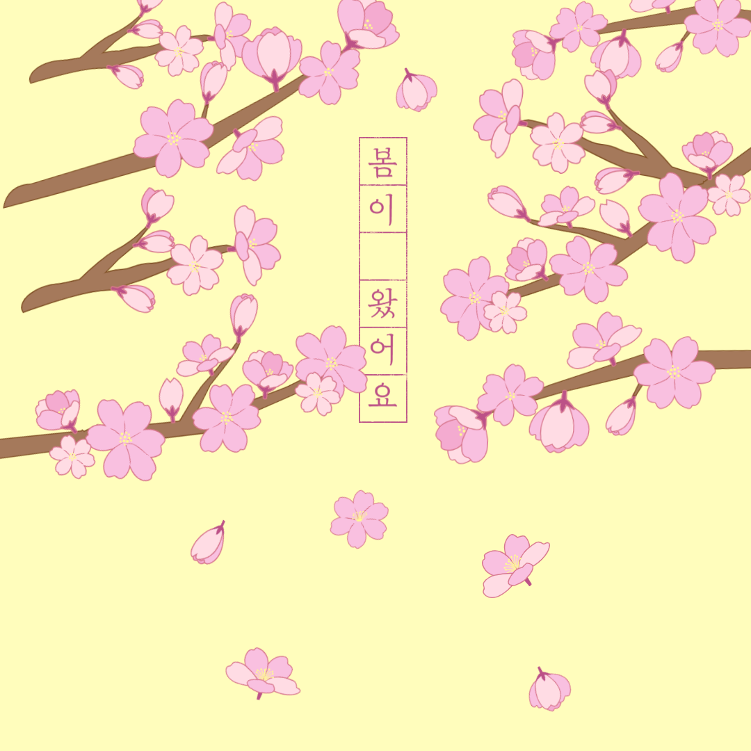 [2025 화담숲 벚꽃 완벽 가이드] 예약부터 모노레일까지! 인생샷 포토스팟 &amp; 개화시기 총정리