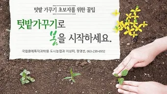 봄 텃밭 준비 토양 갈기 석회 퇴비 잡초 씨 제거_2