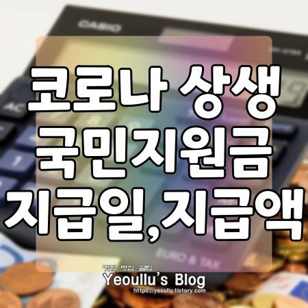 국민상생지원금 5차 재난지원금
