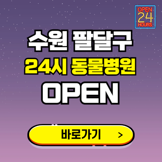 수원시 팔달구 24시 동물병원 진료하는 곳 ❘ 설날 휴일 야간 심야 문여는곳 찾기 ❘ 응급진료