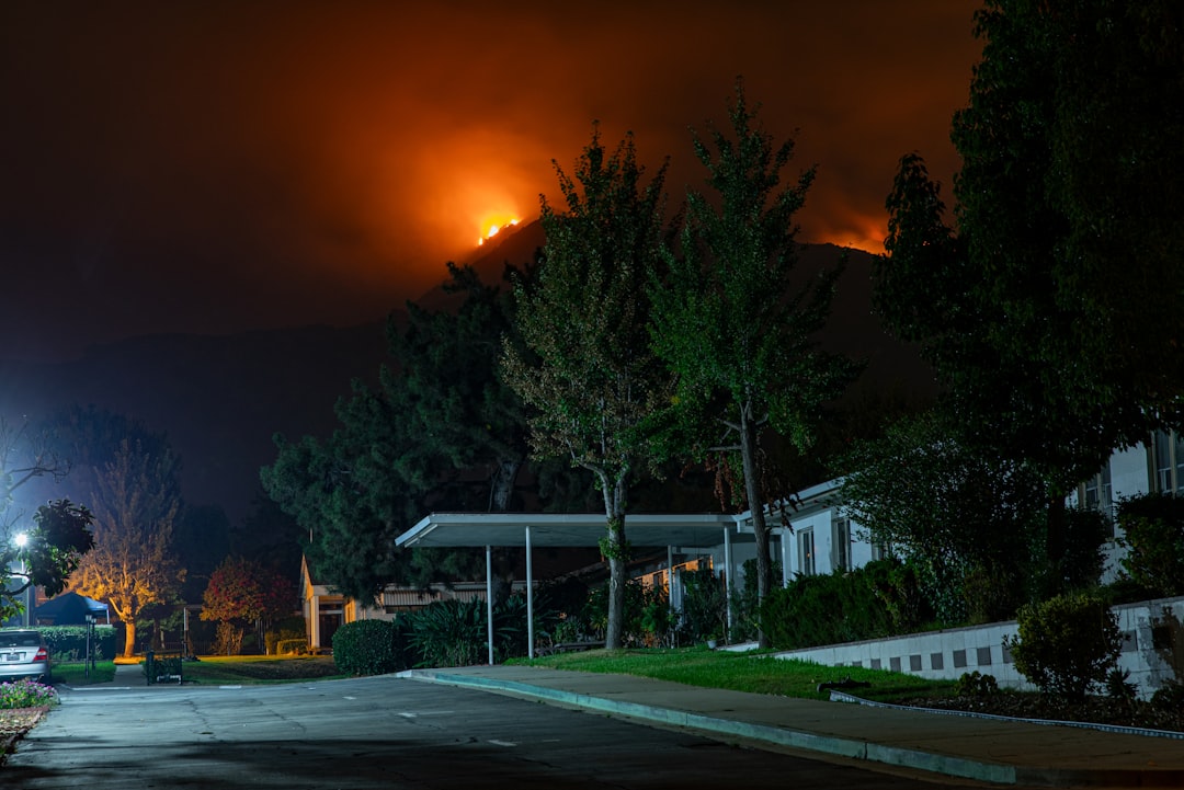 Wildfire