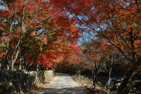 김제 가볼만한 곳