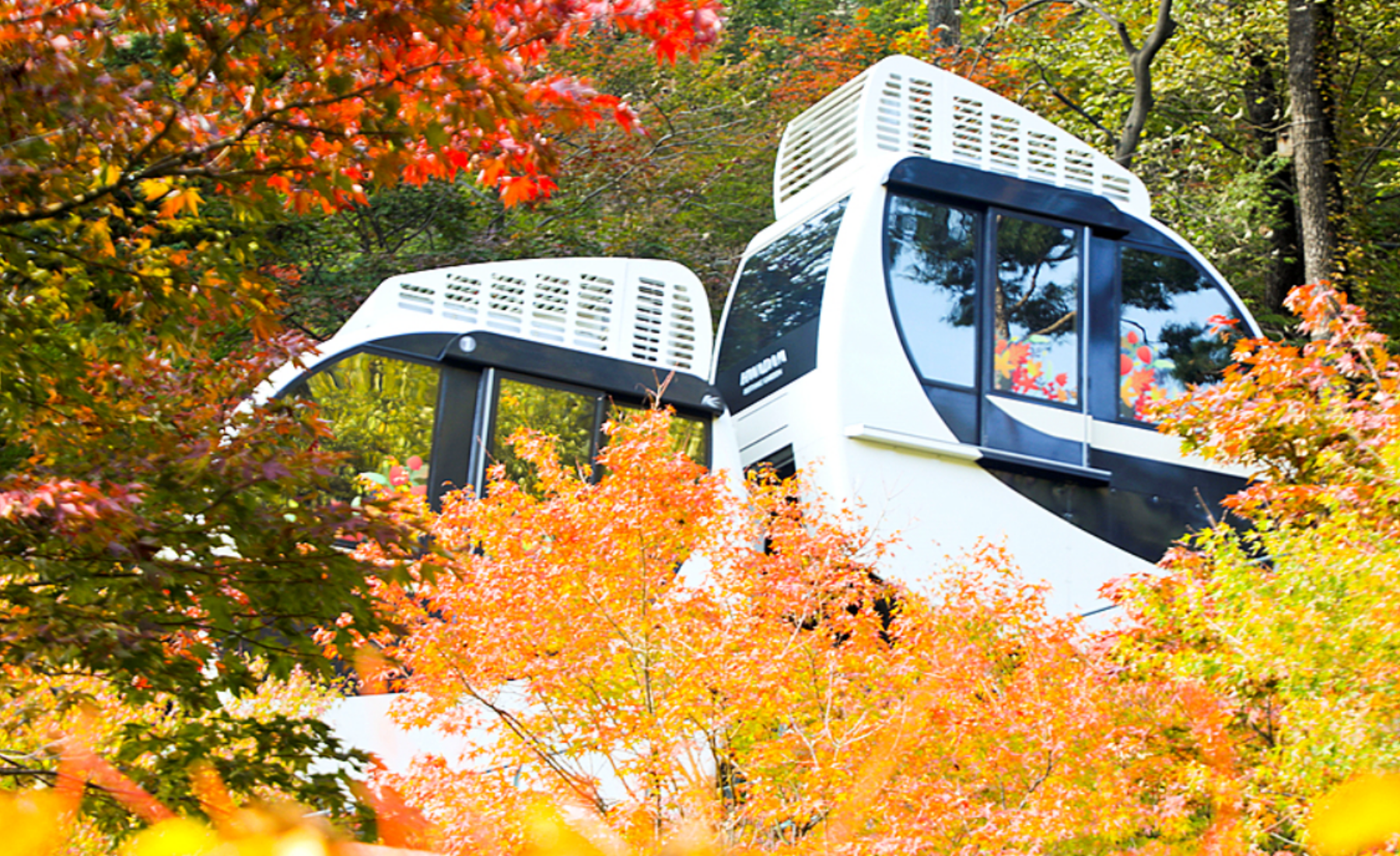 경기 단풍 명소 화담숲 모노레일