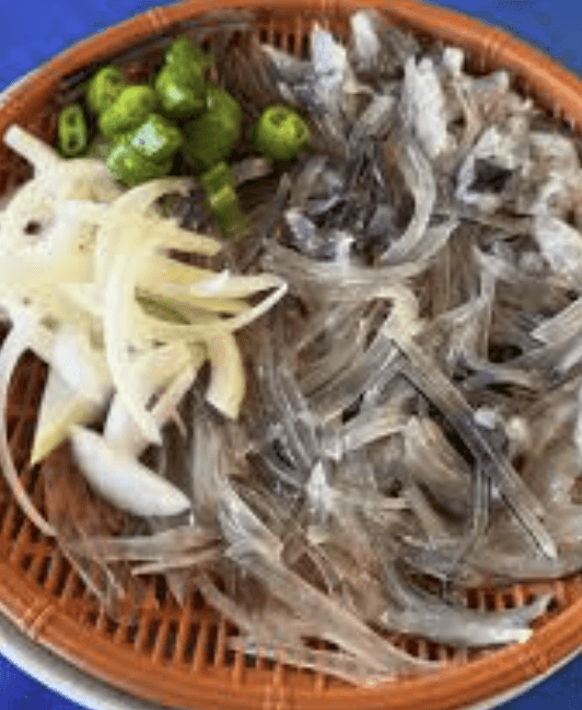 속초 오징어난전