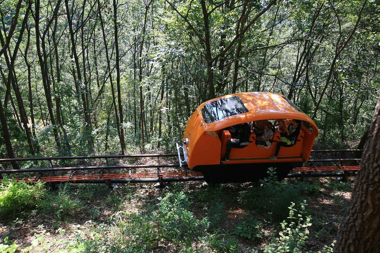 청풍호 관광 모노레일