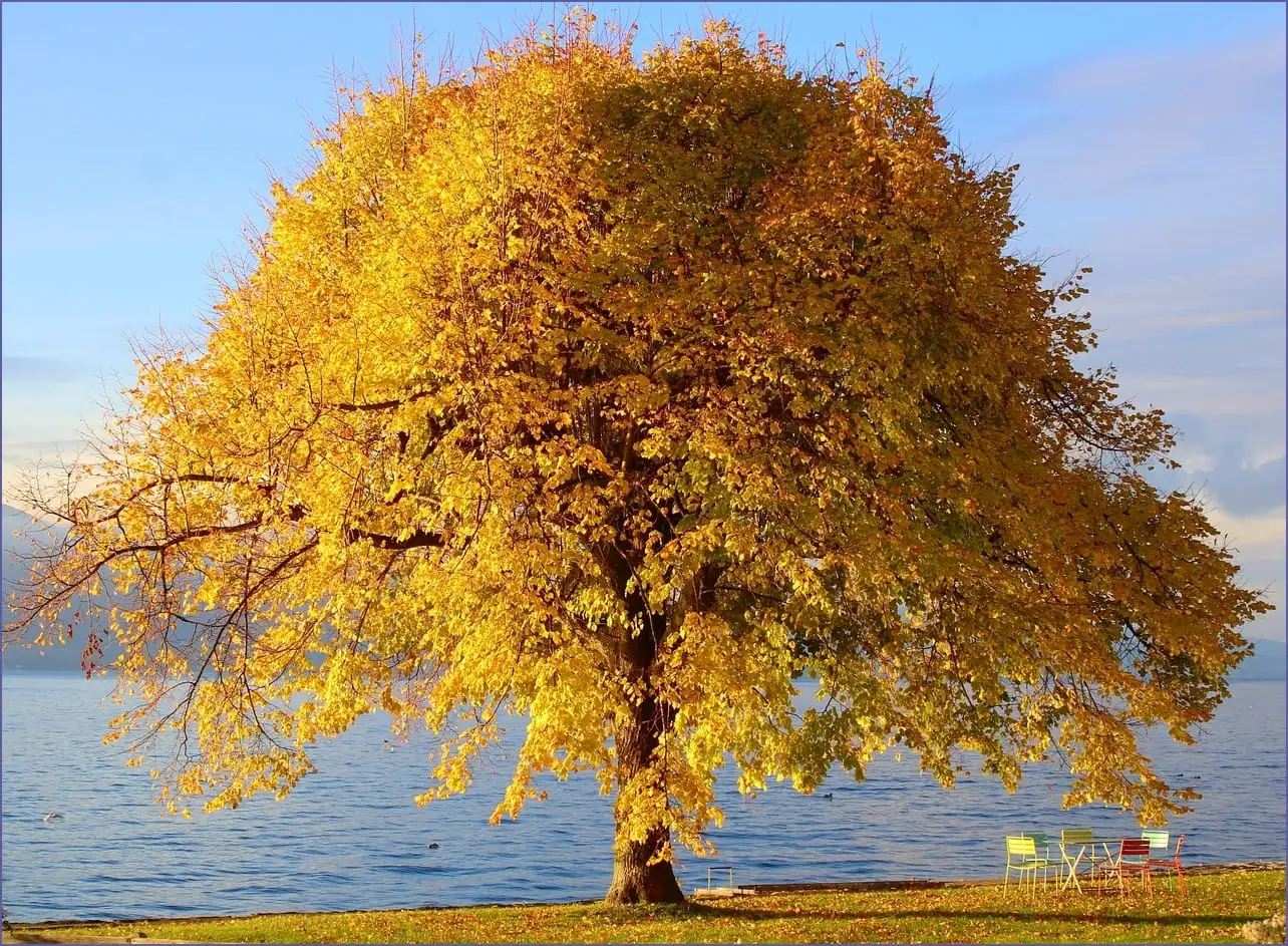 에스코어드림 폰트