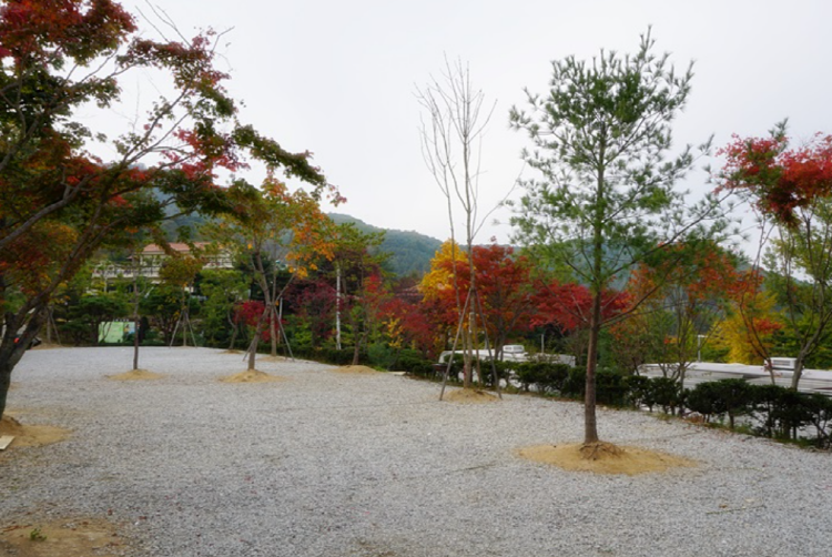 양평수목원캠핑장