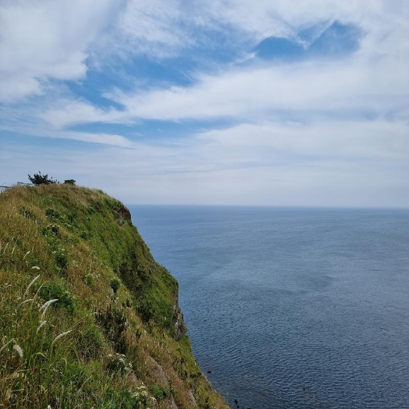 제주수월봉바다뷰
