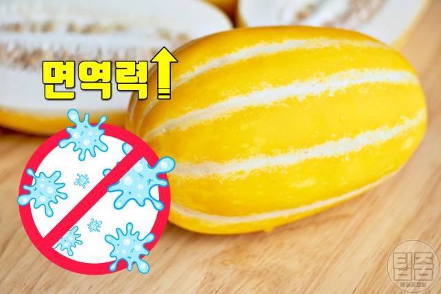 참외 효능 면역력 참외껍질 효능 참외부작용 하루섭취량