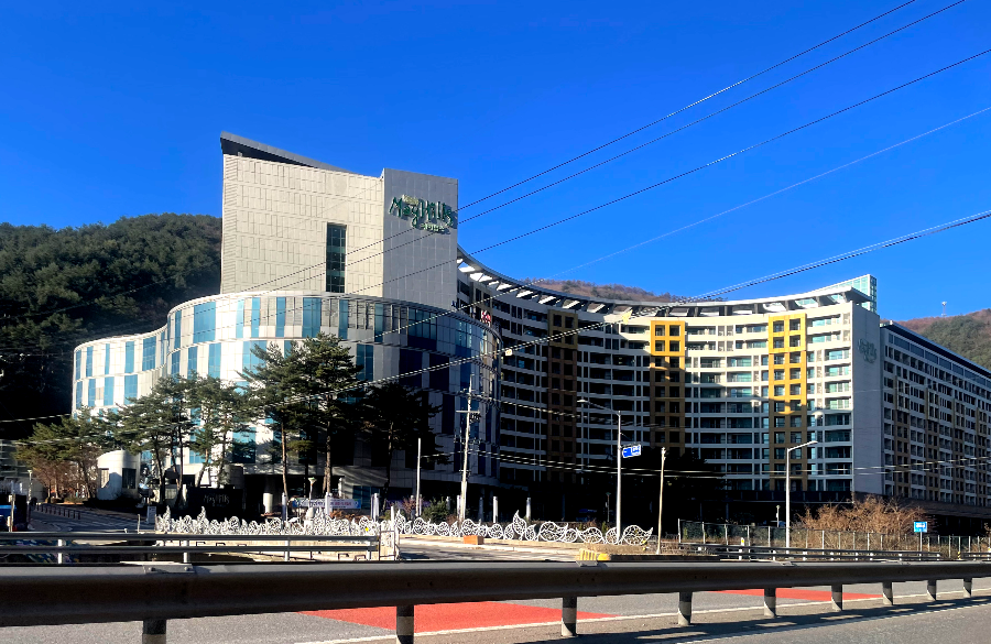 추운 겨울 정선 2박3일 여행 가볼만한 곳