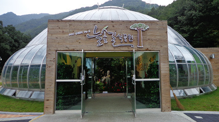 강릉 솔향수목원