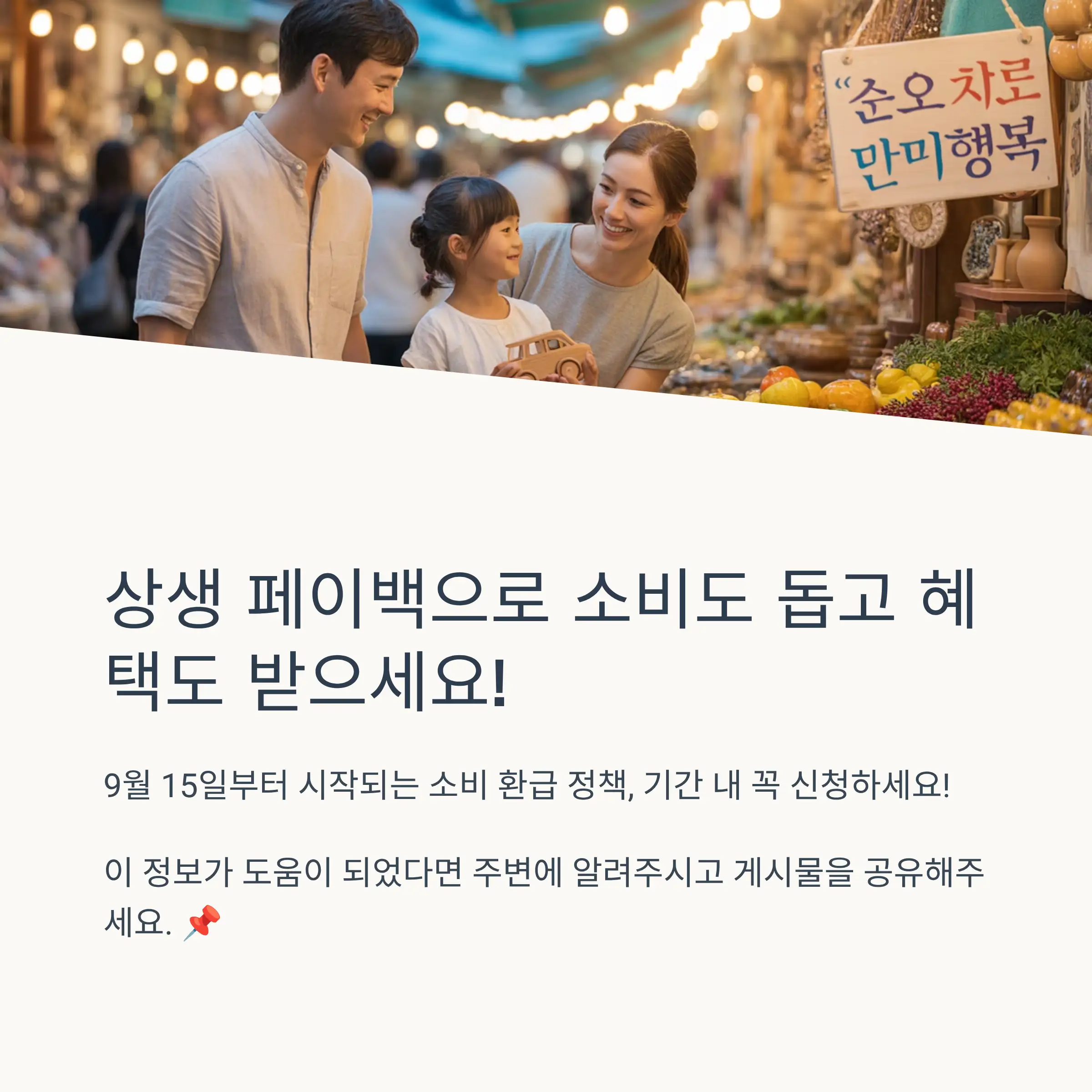 상생 페이백 지원금 정책 개요