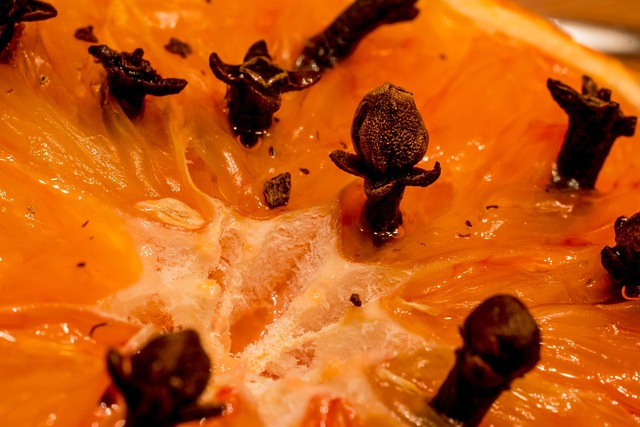 구충제 먹어야 하는 이유