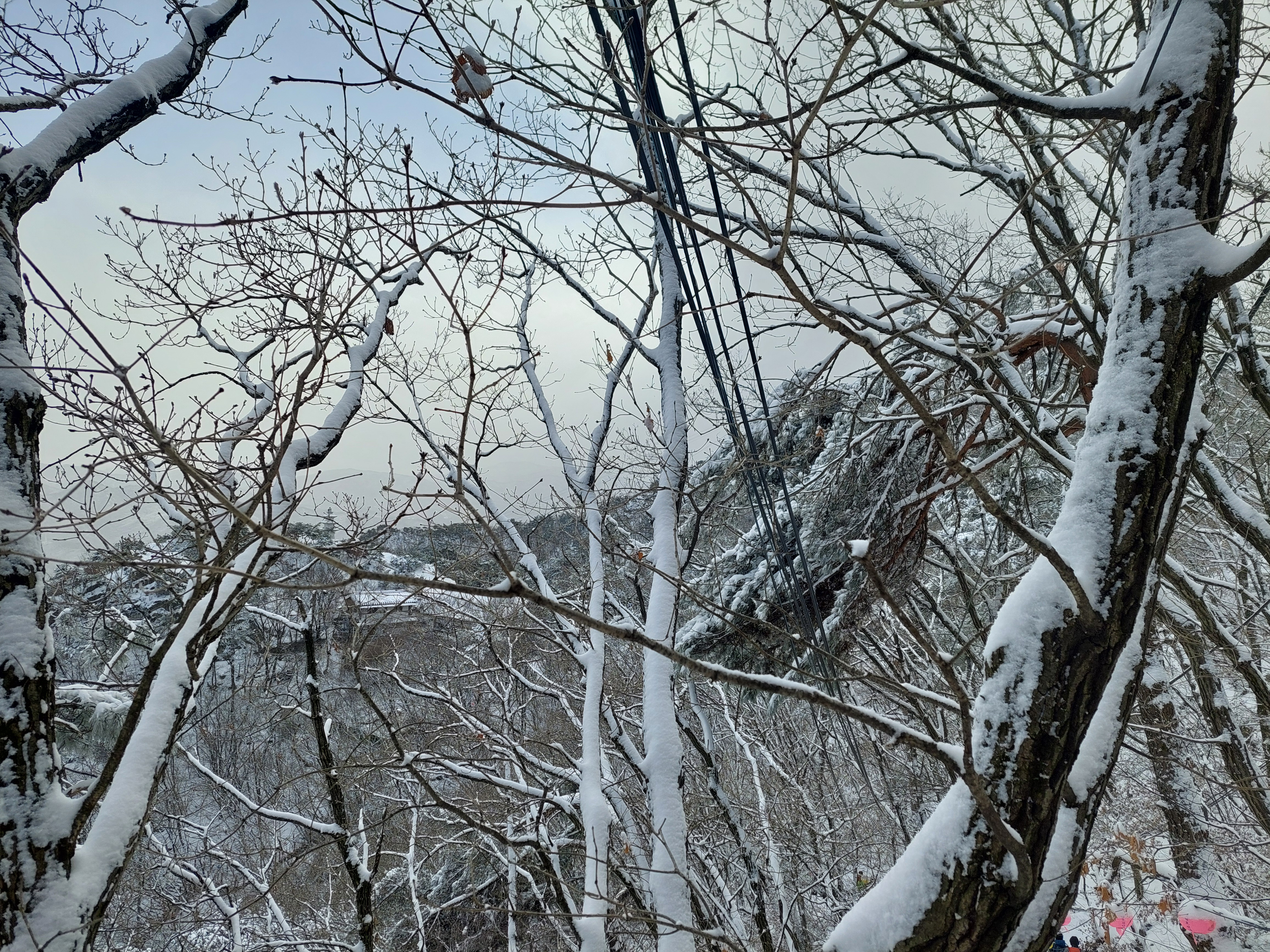 관악산