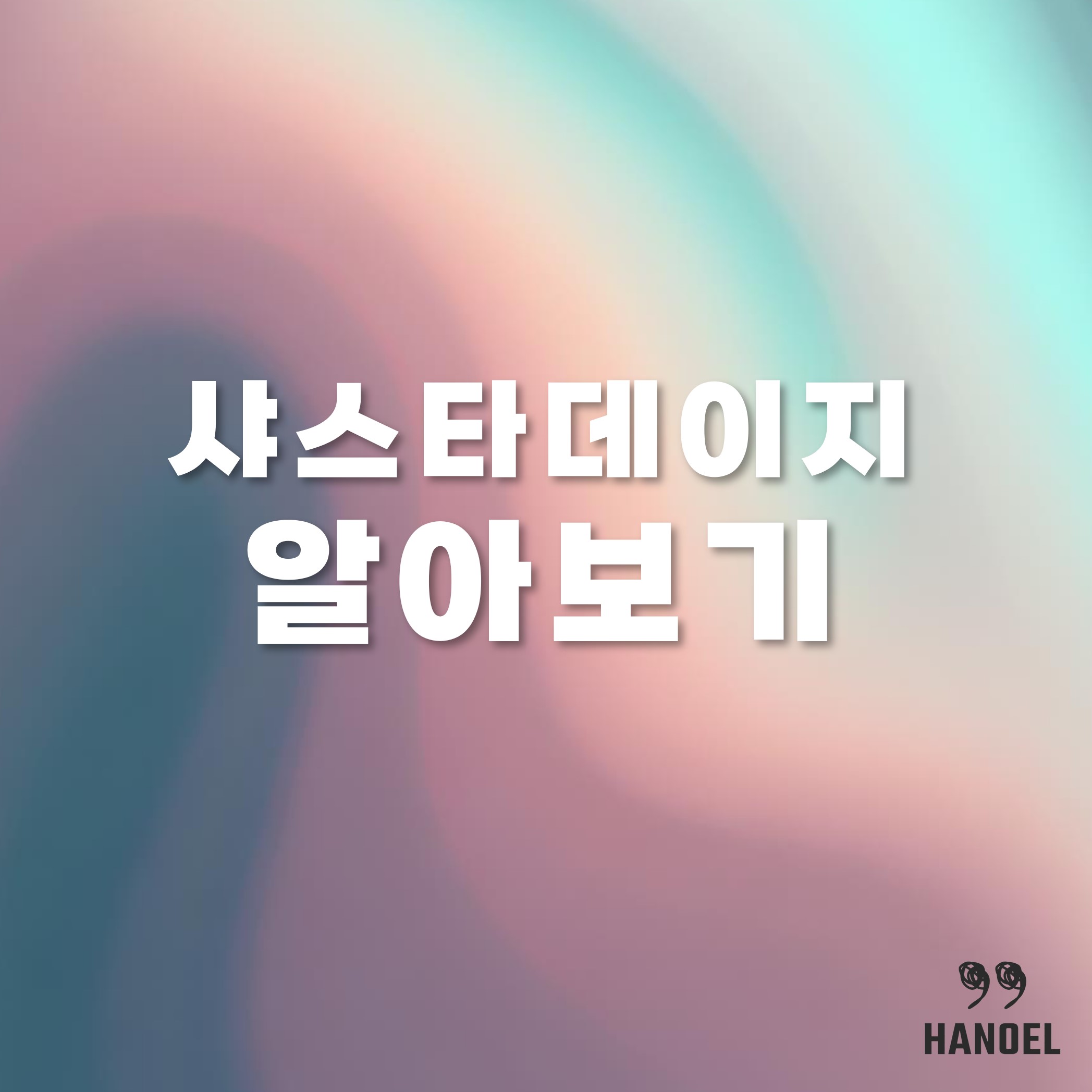 샤스타데이지 알아보기 국내 군락지와 개화시기