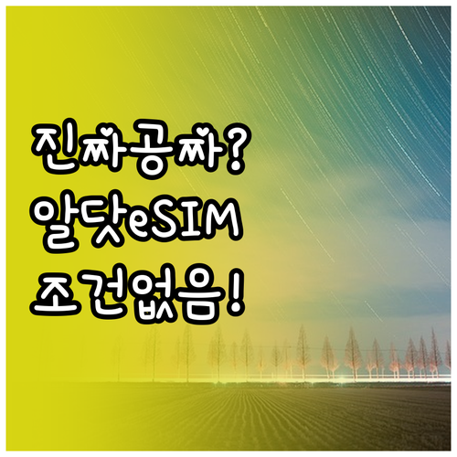 알닷 eSIM 무료 개통 조건 없이 ..
