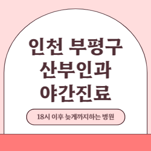 인천 부평구 야간진료 산부인과 병원 (18시 이후 늦게까지하는 병원)