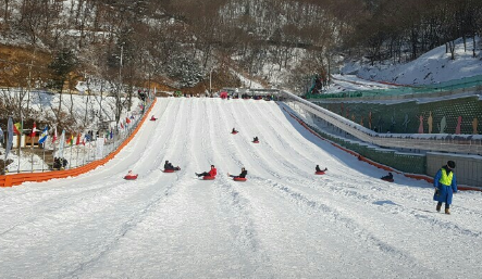 양주눈꽃축제