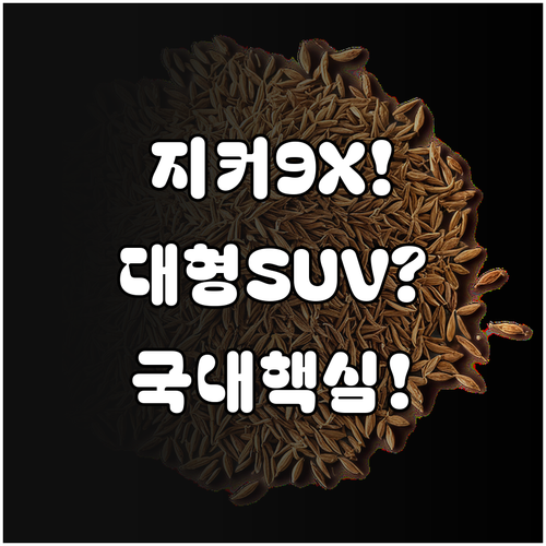 지커 9X 대형 전기차 SUV 국내 ..