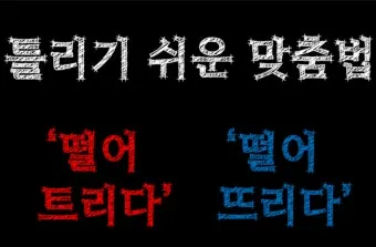 떨어뜨리다 떨어트리다 맞춤법 혼동 끝 예문으로 완벽 이해하기_25