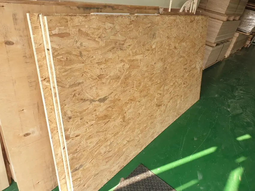 obs합판 규격을 알수 있게 세워진 모습