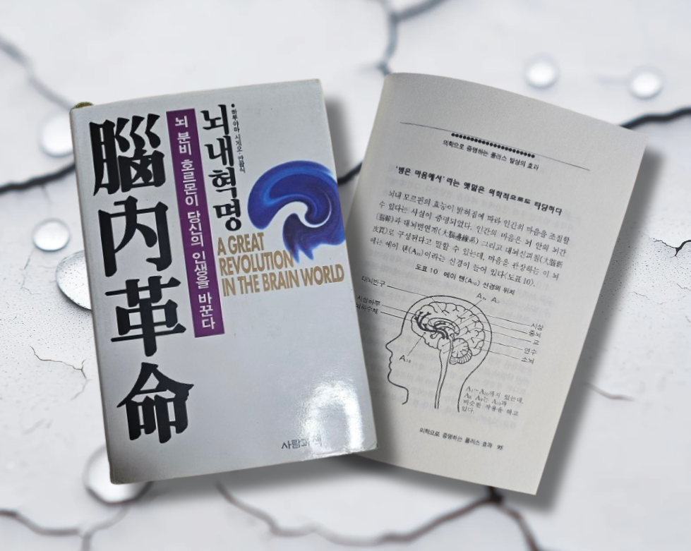 책 / 뇌내혁명(腦內革命)