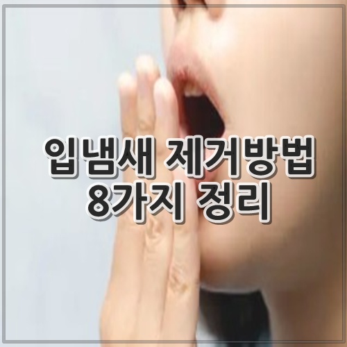 입냄새 제거방법 8가지 정리