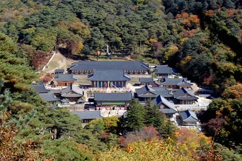 경남 합천 효도관광