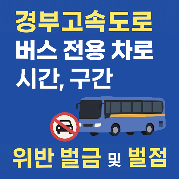 경부고속도로 버스 전용 차로 시간, 구간 위반 벌금 및 벌점