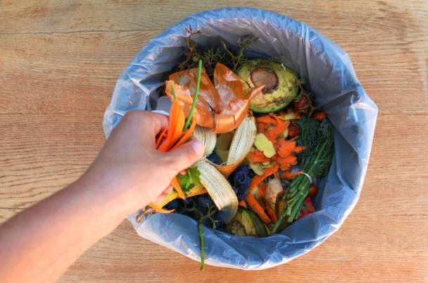 음식물 쓰레기 처리 시 냄새 줄이는 꿀팁