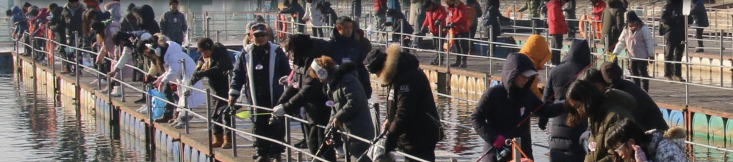 화천 산천어 축제