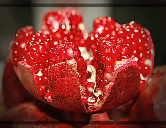 석류-속-알갱이
