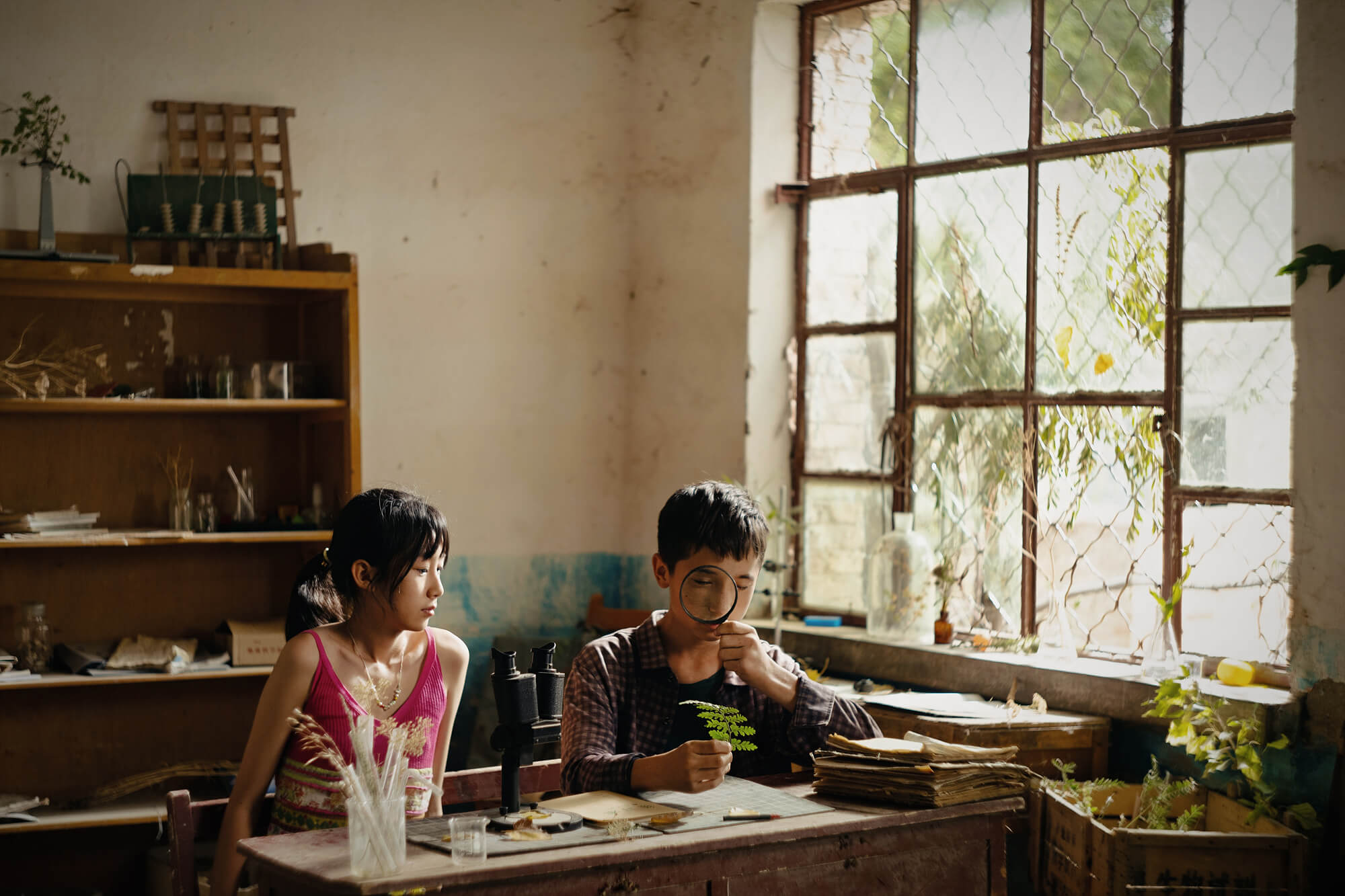 부산국제영화제